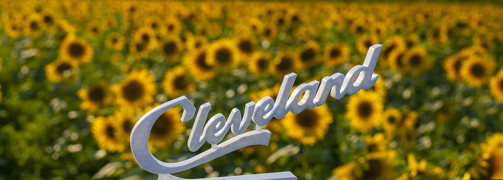 Cleveland Script Sign Office Desk Display Souvenir Gift Ohio with Display Stand